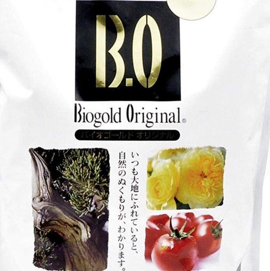 bonsai kopen Deluxe Mini Bonsai Starter Kit